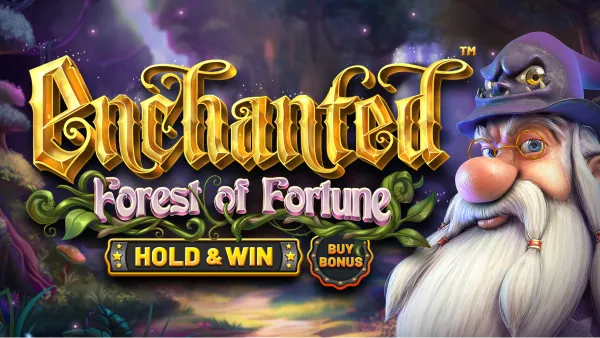 Enchanted: Forest of Fortune game