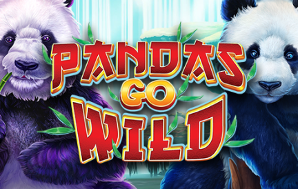 Pandas go wild Slot