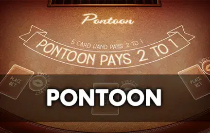 Pontoon game