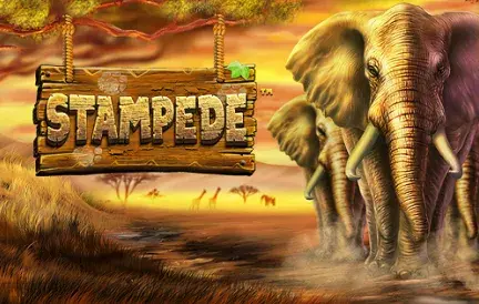 Stampede Slot